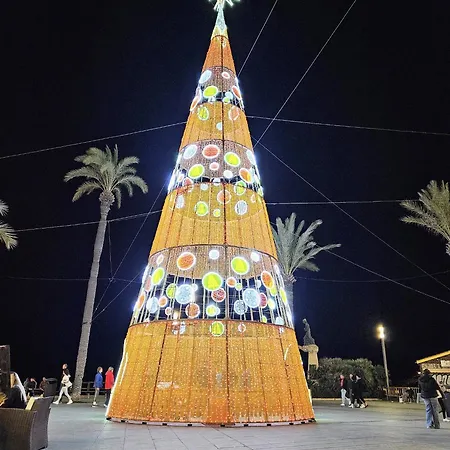 Margarita 2 Торевьиа